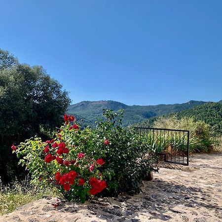 Casa en valle del Tus Yeste Exterior foto