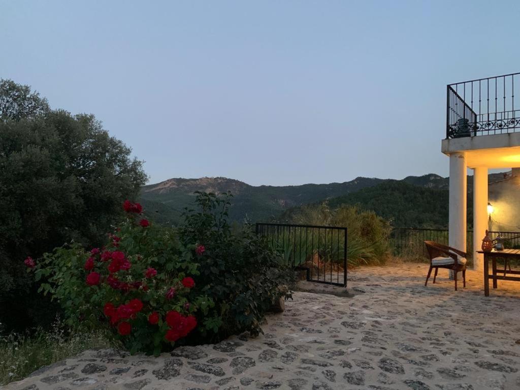 Casa en valle del Tus Yeste Exterior foto